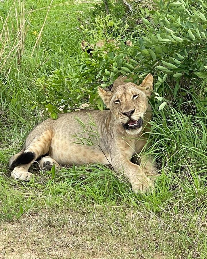 Готель Camp Atupele Mikumi Екстер'єр фото